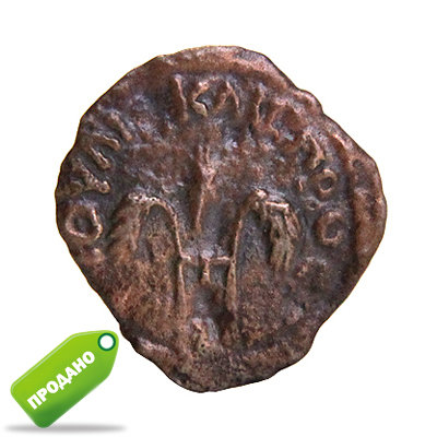 Монета Понтия Пилата с изображением колосьев, с отличным рельефом.