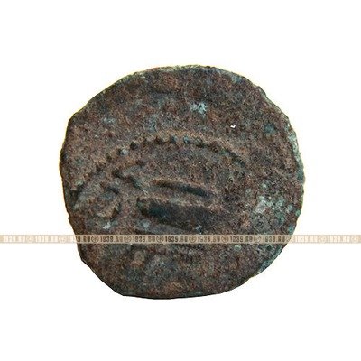 Монета Понтия Пилата с изображением колосьев, в красивом футляре