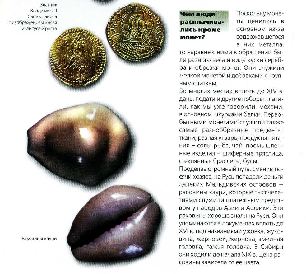 Раковины Каури (Cowry). Приданое невесты 19 век. Украшение национального костюма мордовского и чувашского народов.