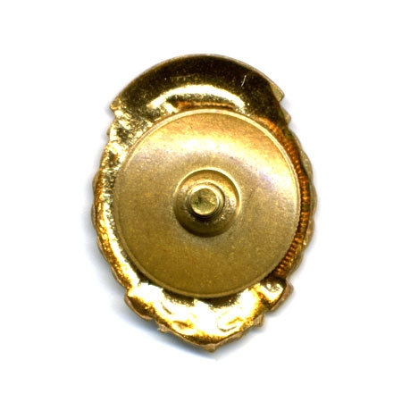 Членский знак ДОСААФ СССР.