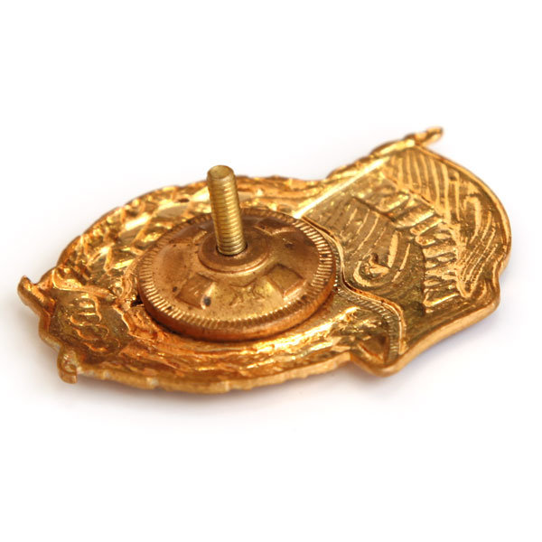 Нагрудный знак СССР.  