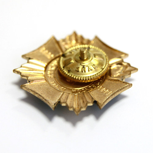 Памятный нагрудный знак 