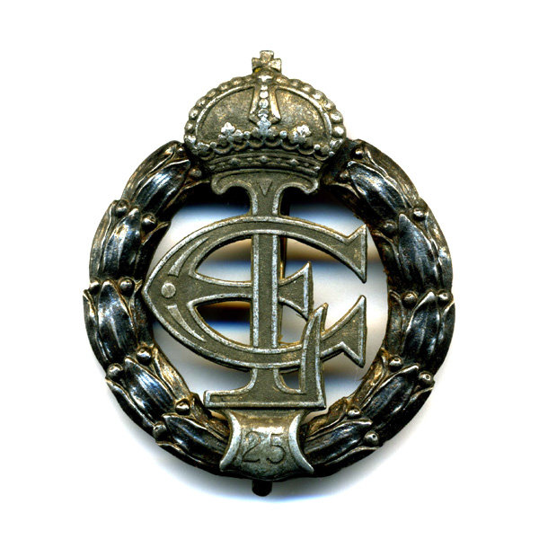 Редкий нагрудный знак 