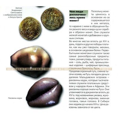 Раковины Каури (Cowry). Приданое невесты 19 век. Украшение национального костюма мордовского и чувашского народов.