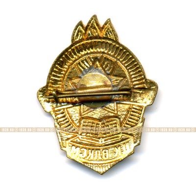 ЦК ВЛКСМ. Лучшему вожатому Наградной значок ЦК ВЛКСМ Советского периода.