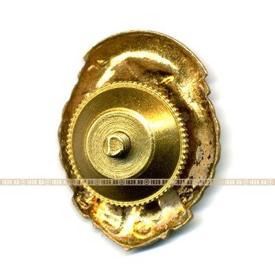 Членский знак ДОСААФ СССР.