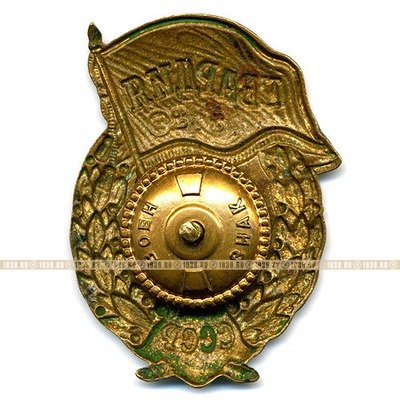 Нагрудный знак 