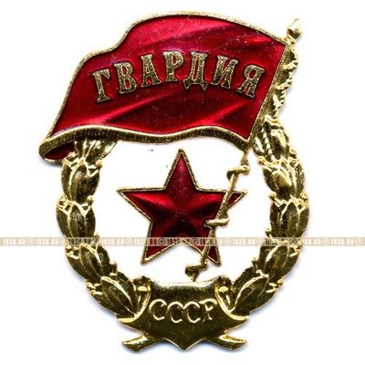 НАГРУДНЫЙ ЗНАК 