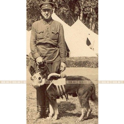 Собачий противогаз времен 1930-х годов для нужд РККА.