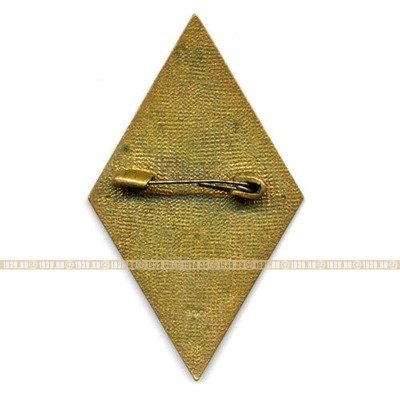 Нагрудный знак Строитель Ангренской ГРЭС 1968.
