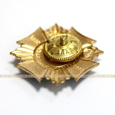 Памятный нагрудный знак 