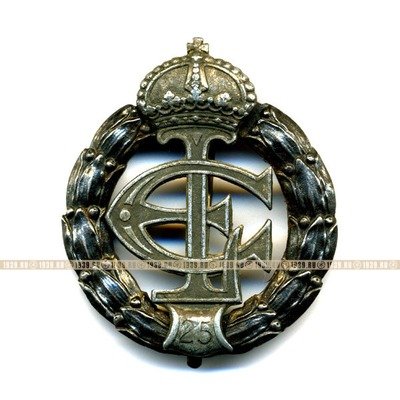 Редкий нагрудный знак 
