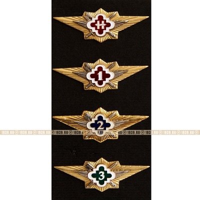 Комплект нагрудных знаков классности для сотрудников оперативных аппаратов уголовно-исполнительной системы МинЮста РФ.